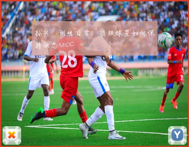孙兴慜训练日常：顶级球星如何保持状态